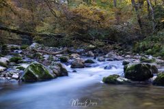 Cascade du Pissieu