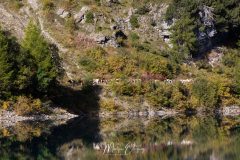 Barrage de Tseuzier