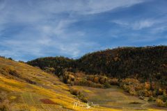 Hauts de Conthey
