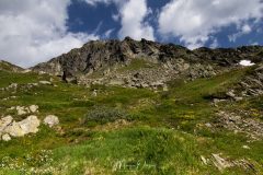 Grand  St-Bernard