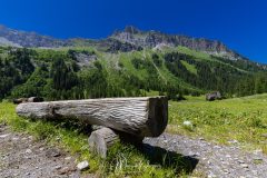 Vallon du Nant