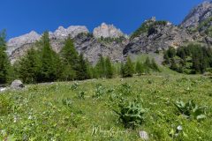 Vallon du Nant