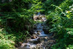 Cascade