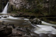 Tine de Conflens