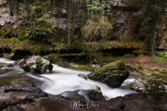 Tine de Conflens