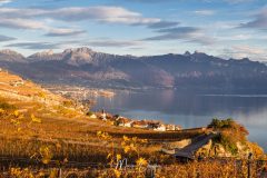 Le Lavaux